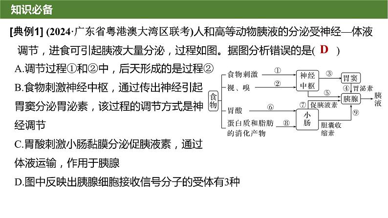 2025届高三生物一轮复习微拓展9：动物生命活动调节模型及相关实验课件第3页