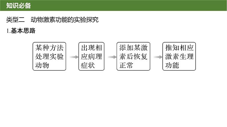 2025届高三生物一轮复习微拓展9：动物生命活动调节模型及相关实验课件第5页