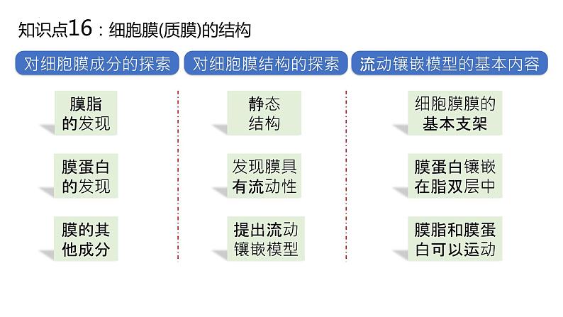 2025届高三生物一轮深度复习课件：细胞膜的结构与功能第2页