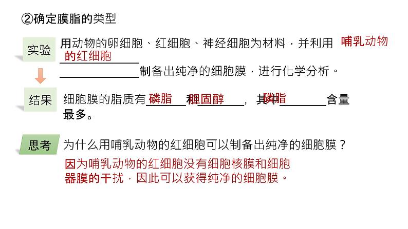 2025届高三生物一轮深度复习课件：细胞膜的结构与功能第4页