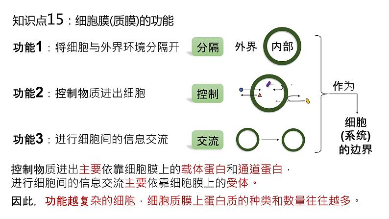 2025届高三生物一轮深度复习课件10：细胞膜的结构与功能第2页