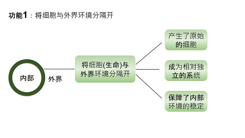 2025届高三生物一轮深度复习课件10：细胞膜的结构与功能第3页