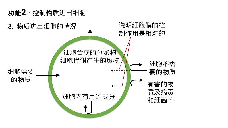 2025届高三生物一轮深度复习课件10：细胞膜的结构与功能第6页