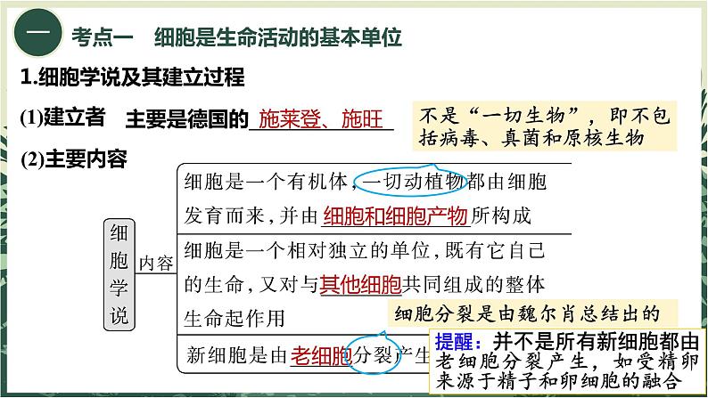 2025届高三一轮复习生物：走近细胞课件第2页