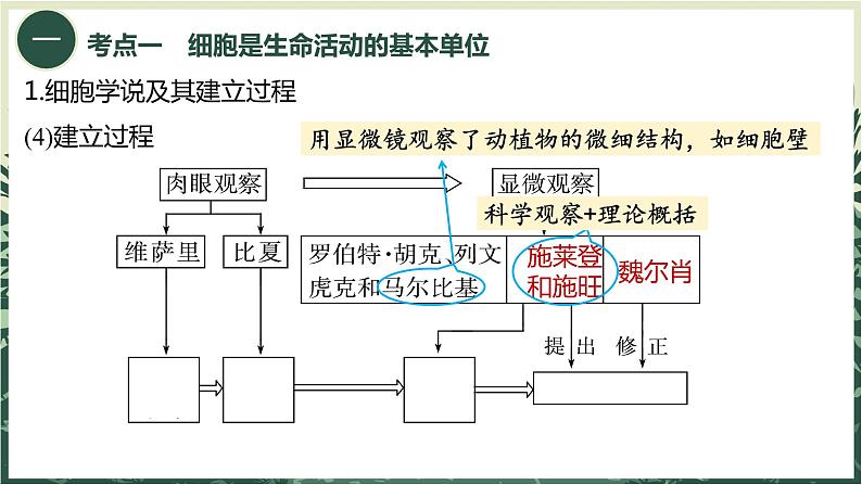 2025届高三一轮复习生物：走近细胞课件第4页