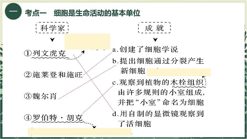 2025届高三一轮复习生物：走近细胞课件第5页