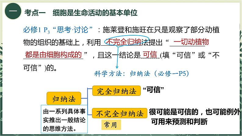 2025届高三一轮复习生物：走近细胞课件第6页