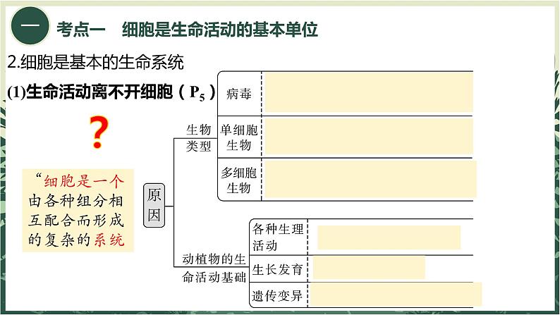 2025届高三一轮复习生物：走近细胞课件第8页