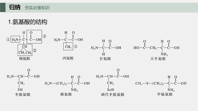 最新高考生物一轮复习课件（新人教版） 第1单元　第3课时　蛋白质是生命活动的主要承担者第7页