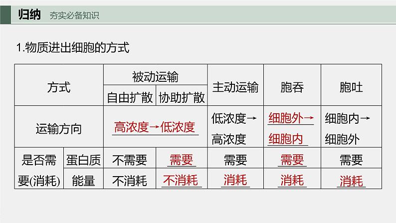 最新高考生物一轮复习课件（新人教版） 第2单元　第5课时　物质出入细胞的方式及影响因素06