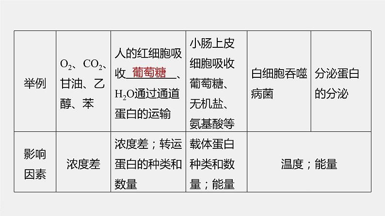 最新高考生物一轮复习课件（新人教版） 第2单元　第5课时　物质出入细胞的方式及影响因素08