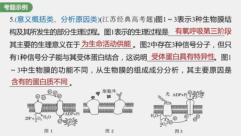 最新高考生物一轮复习课件（新人教版） 第2单元　长句表达(一)　与细胞有关的概念、特点和作用的描述06