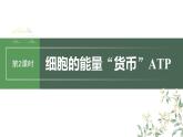 最新高考生物一轮复习课件（新人教版） 第3单元　第2课时　细胞的能量“货币”ATP