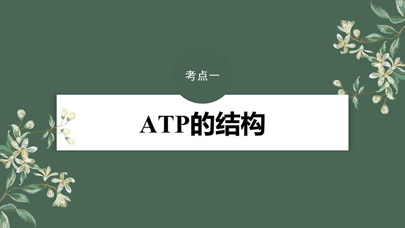 最新高考生物一轮复习课件（新人教版） 第3单元　第2课时　细胞的能量“货币”ATP第6页