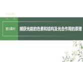 最新高考生物一轮复习课件（新人教版） 第3单元　第5课时　捕获光能的色素和结构及光合作用的原理