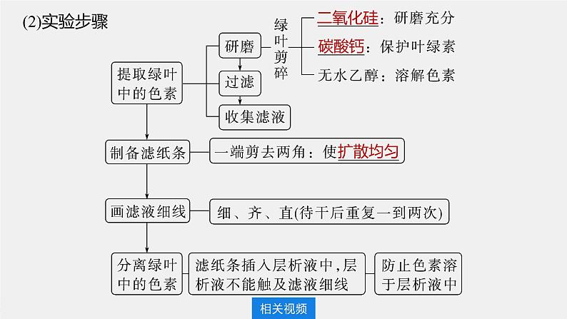 最新高考生物一轮复习课件（新人教版） 第3单元　第5课时　捕获光能的色素和结构及光合作用的原理08