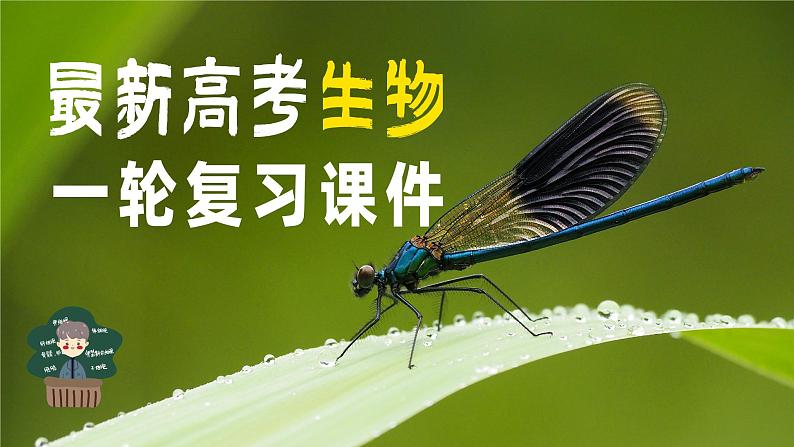 最新高考生物一轮复习课件（新人教版） 第3单元　解惑练2　光呼吸和光抑制01