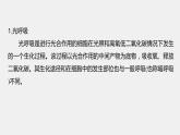 最新高考生物一轮复习课件（新人教版） 第3单元　解惑练2　光呼吸和光抑制
