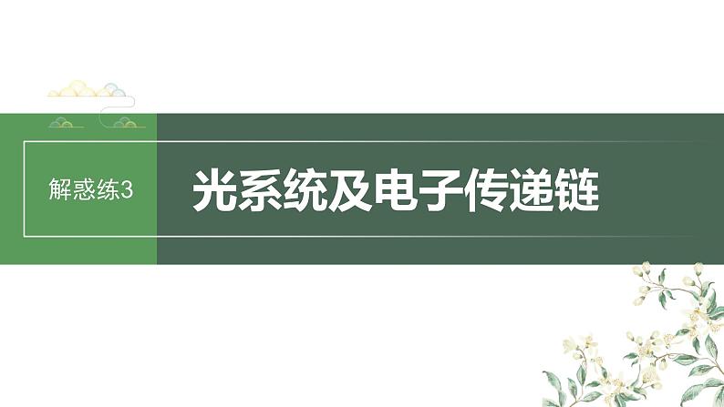 最新高考生物一轮复习课件（新人教版） 第3单元　解惑练3　光系统及电子传递链03