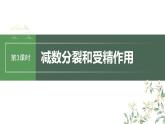 最新高考生物一轮复习课件（新人教版） 第4单元　第3课时　减数分裂和受精作用