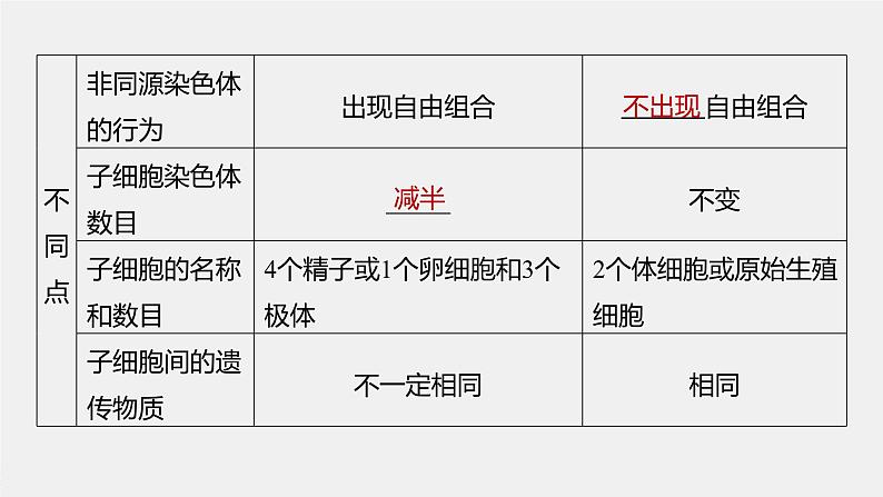 最新高考生物一轮复习课件（新人教版） 第4单元　第4课时　减数分裂与有丝分裂的比较及观察蝗虫精母细胞减数分裂装片08