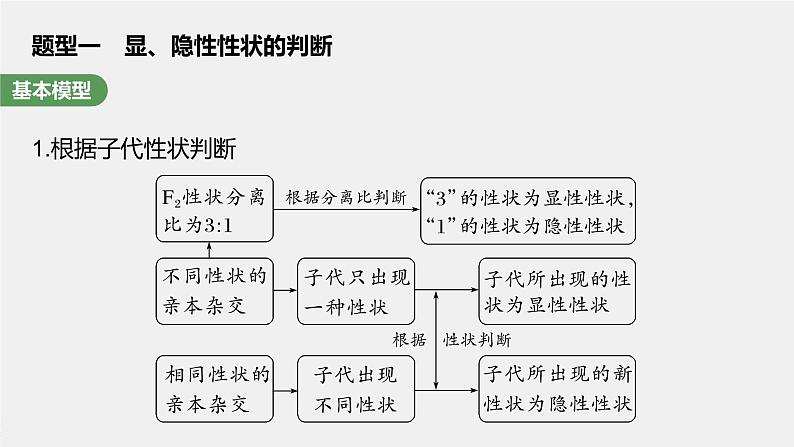 最新高考生物一轮复习课件（新人教版） 第5单元　第2课时　基因分离定律基础题型突破05