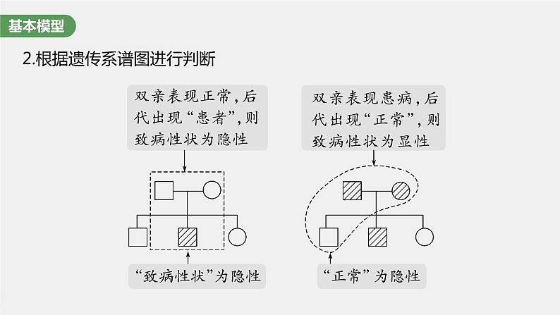 最新高考生物一轮复习课件（新人教版） 第5单元　第2课时　基因分离定律基础题型突破06