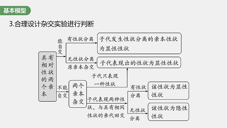 最新高考生物一轮复习课件（新人教版） 第5单元　第2课时　基因分离定律基础题型突破07