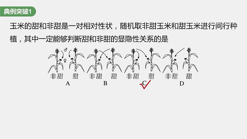 最新高考生物一轮复习课件（新人教版） 第5单元　第2课时　基因分离定律基础题型突破08