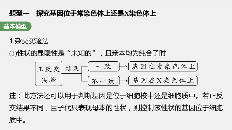 最新高考生物一轮复习课件（新人教版） 第5单元　第9课时　与性染色体相关的基因位置的分析与判断题型突破第5页