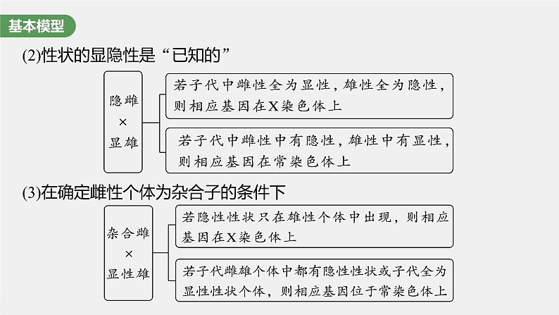 最新高考生物一轮复习课件（新人教版） 第5单元　第9课时　与性染色体相关的基因位置的分析与判断题型突破第6页