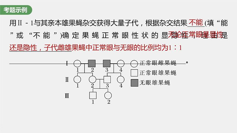 最新高考生物一轮复习课件（新人教版） 第5单元　长句表达(三)　遗传实验中相关推理分析05