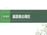 最新高考生物一轮复习课件（新人教版） 第六单元　微专题四　基因表达调控