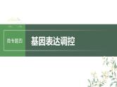 最新高考生物一轮复习课件（新人教版） 第六单元　微专题四　基因表达调控