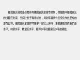 最新高考生物一轮复习课件（新人教版） 第六单元　微专题四　基因表达调控