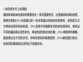 最新高考生物一轮复习课件（新人教版） 第六单元　微专题四　基因表达调控