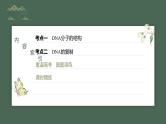 最新高考生物一轮复习课件（新人教版） 第6单元　第2课时　DNA的结构与复制