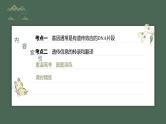 最新高考生物一轮复习课件（新人教版） 第6单元　第3课时　基因的概念与表达