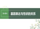 最新高考生物一轮复习课件（新人教版） 第6单元　第4课时　基因表达与性状的关系
