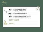 最新高考生物一轮复习课件（新人教版） 第6单元　第4课时　基因表达与性状的关系