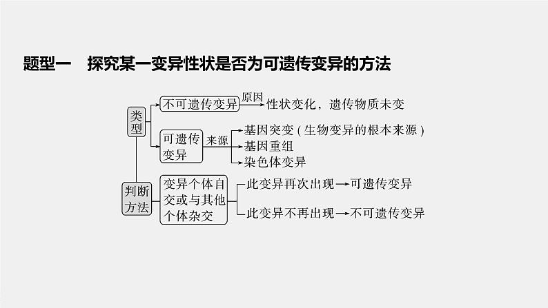 最新高考生物一轮复习课件（新人教版） 第七单元　微专题五　利用“假说—演绎法”解决生物变异实验探究题04