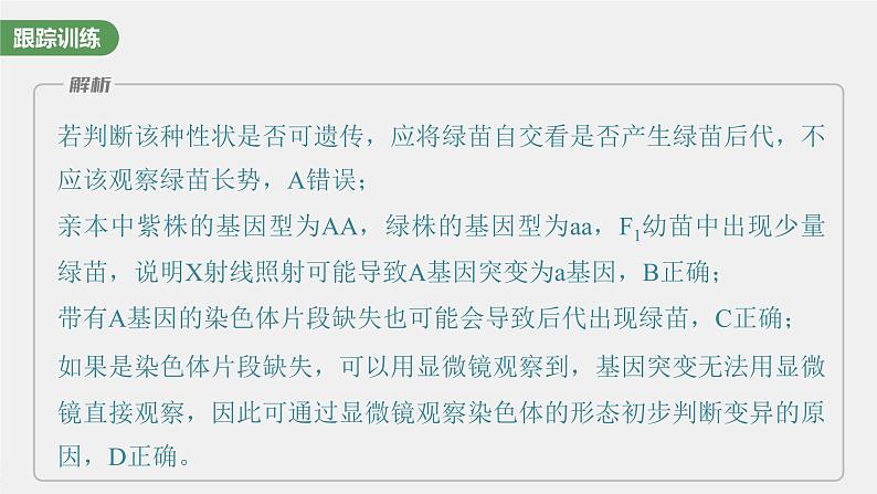 最新高考生物一轮复习课件（新人教版） 第七单元　微专题五　利用“假说—演绎法”解决生物变异实验探究题06