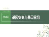 最新高考生物一轮复习课件（新人教版） 第7单元　第1课时　基因突变与基因重组