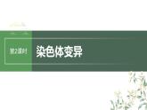 最新高考生物一轮复习课件（新人教版） 第7单元　第2课时　染色体变异