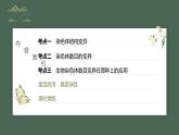 最新高考生物一轮复习课件（新人教版） 第7单元　第2课时　染色体变异