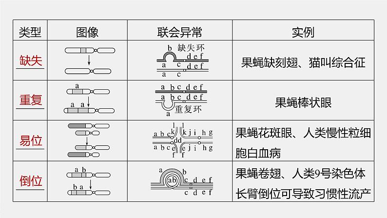 最新高考生物一轮复习课件（新人教版） 第7单元　第2课时　染色体变异08