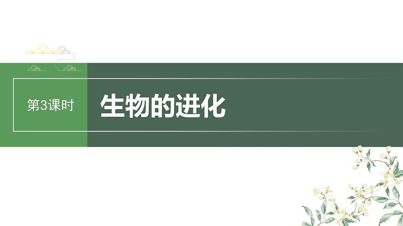 最新高考生物一轮复习课件（新人教版） 第7单元　第3课时　生物的进化03