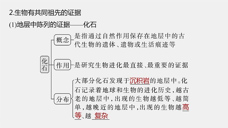 最新高考生物一轮复习课件（新人教版） 第7单元　第3课时　生物的进化08