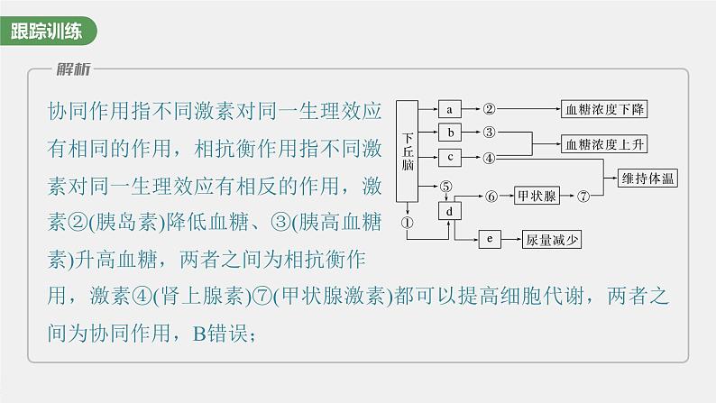 最新高考生物一轮复习课件（新人教版） 第八单元　微专题六　动物生命活动调节模型的构建和分析第7页