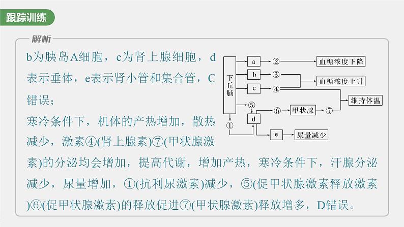 最新高考生物一轮复习课件（新人教版） 第八单元　微专题六　动物生命活动调节模型的构建和分析第8页